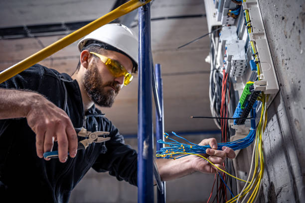 Best Electrical System Inspection  in Morris, IL